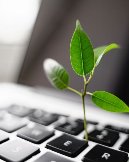 Laptop-Tastatur mit darauf wachsender Pflanze.